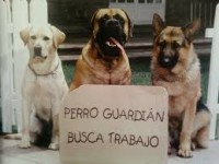 /album/fotogaleria/images-jpg/